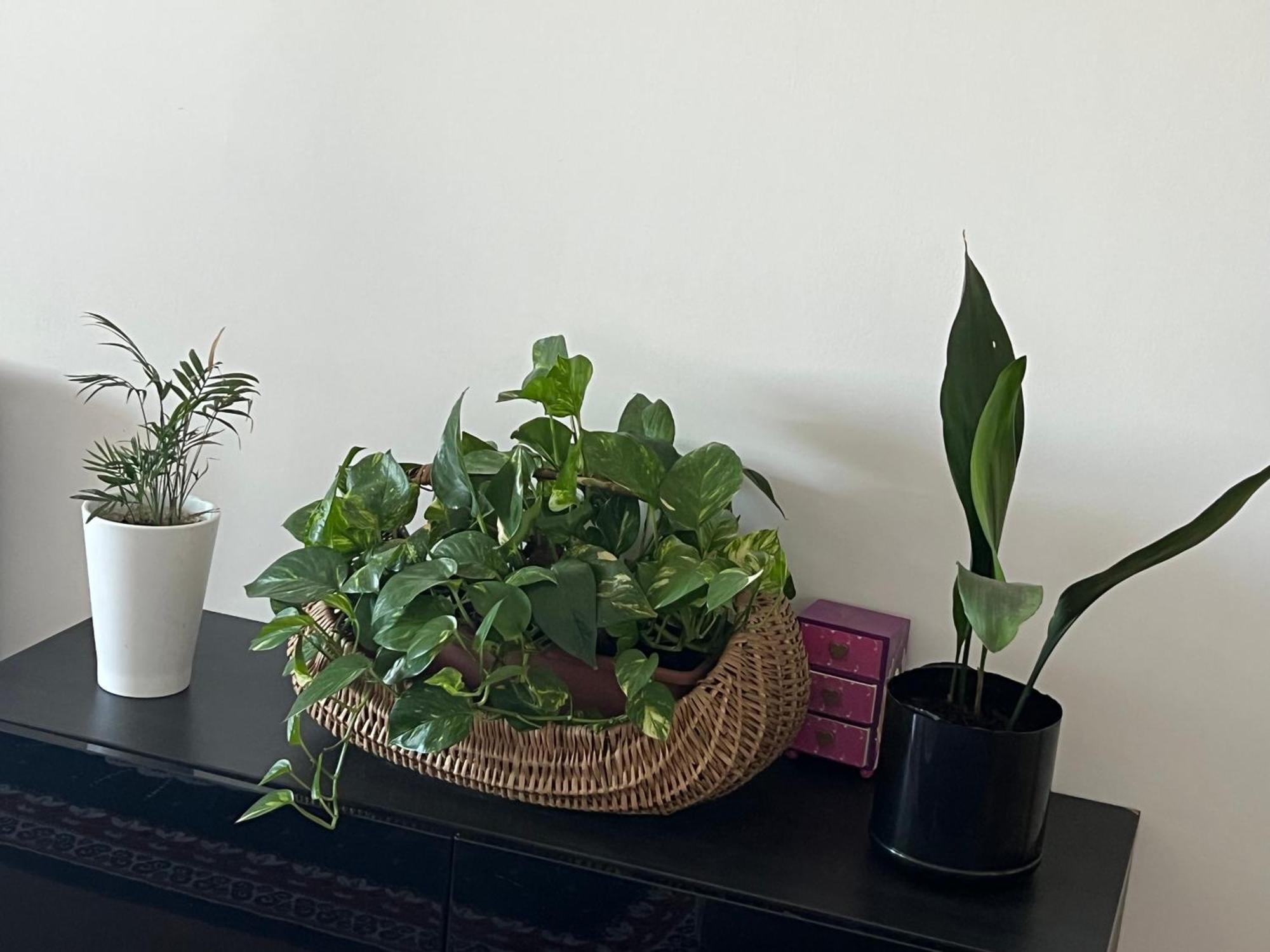 Friends And Family Apartment เบรเชีย ภายนอก รูปภาพ